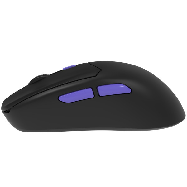  Бездротова ігрова миша Proove Gaming Everon Black (WMEV00022001)