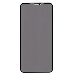  Захисне скло Privacy Сlassic для iPhone 11 Pro/X/Xs