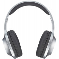 Беспроводные наушники Panasonic RB-HX220B Silver (RB-HX220BEE-S)